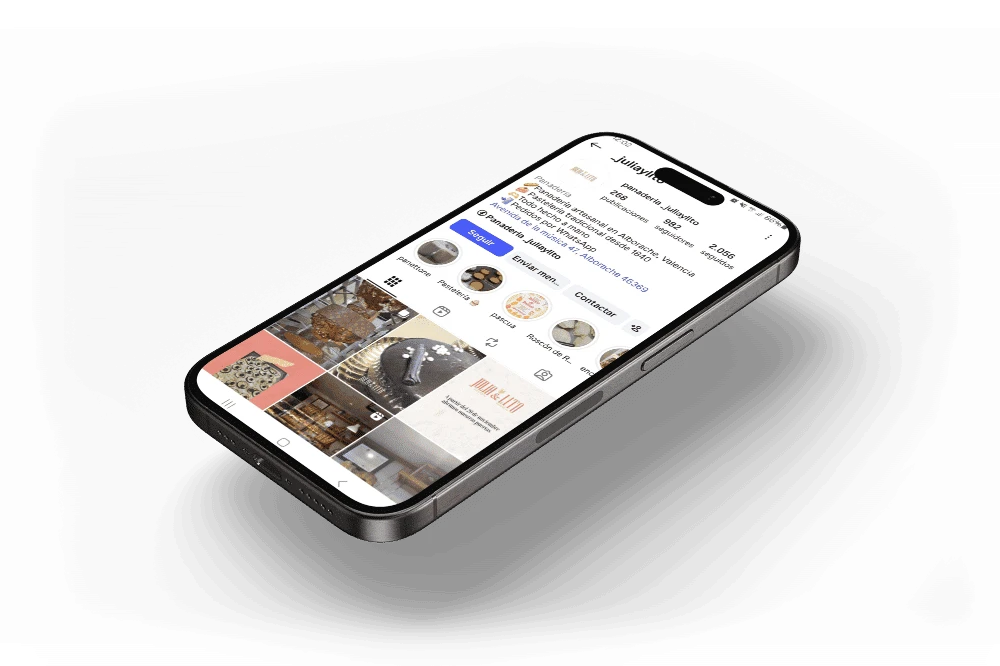 Perfil de Instagram de Julia & Lito en móvil
